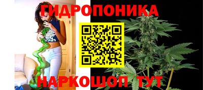 сатива Апшеронск