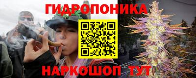 сатива Апшеронск
