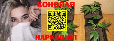 шишки Балашиха