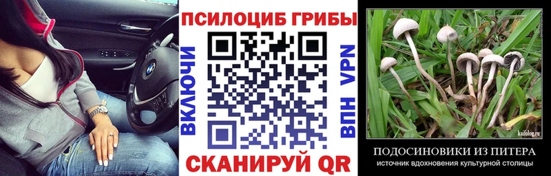 Псилоцибиновые грибы мухоморы ОМГ ОМГ маркетплейс Воронеж