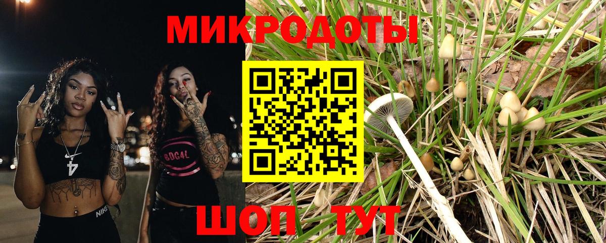 Воронеж  Галлюциногенные грибы GOLDEN TEACHER  где найти наркотики  Псилоцибиновые грибы ЛСД  Вход с VPN 
