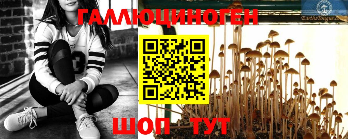 Галлюциногенные грибы мицелий  Воронеж 