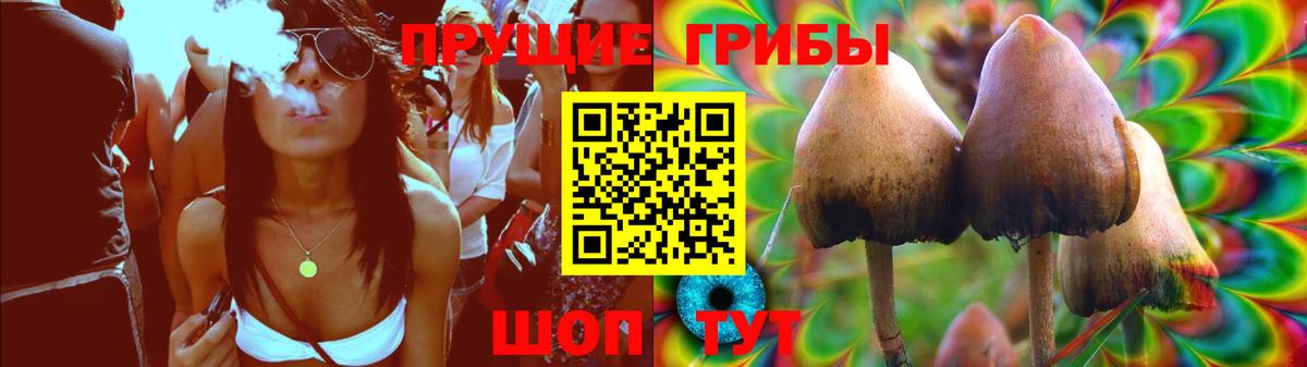 Галлюциногенные грибы Magic Shrooms Воронеж